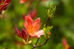 063A3843-Edit.jpg