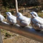 公園内の手すりにとまった鳥？