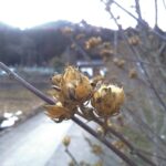 寒さの中に