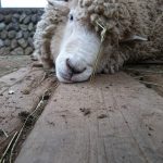 むにっ