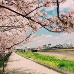 はんだマニア_インスタグラム賞