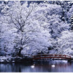 臥竜公園の雪景色