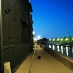 半田運河の黒猫
