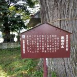 東御市指定天然記念物黒槐の木案内板