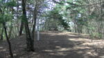PIC_0171.JPG
