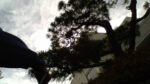 WIN_20210302_09_08_12_Pro.jpg