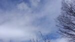 WIN_20210302_09_11_03_Pro.jpg