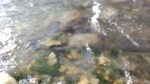 WIN_20210302_09_11_32_Pro.jpg