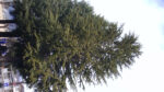 WIN_20210302_09_13_13_Pro.jpg