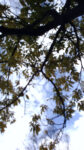 WIN_20210302_09_18_47_Pro.jpg