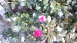 WIN_20210302_09_20_29_Pro.jpg