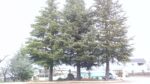 WIN_20210302_09_21_12_Pro.jpg