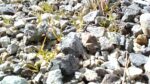 WIN_20210302_09_23_01_Pro.jpg