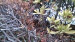 WIN_20210302_09_24_48_Pro.jpg