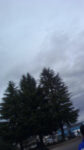 WIN_20210302_09_26_33_Pro.jpg