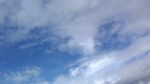 WIN_20210302_10_00_18_Pro.jpg