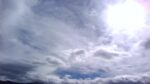 WIN_20210302_10_01_10_Pro.jpg