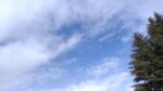 WIN_20210302_10_01_27_Pro.jpg