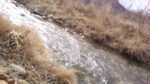 WIN_20210302_10_02_09_Pro.jpg