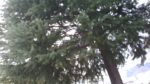 WIN_20210302_10_03_07_Pro.jpg