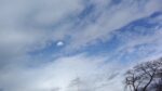 WIN_20210302_10_03_11_Pro.jpg