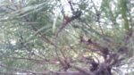 WIN_20210302_10_04_17_Pro.jpg