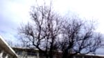 WIN_20210302_10_04_21_Pro.jpg