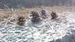 WIN_20210302_10_05_14_Pro.jpg