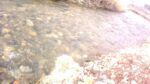 WIN_20210302_10_06_22_Pro.jpg