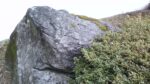 WIN_20210302_10_07_04_Pro.jpg