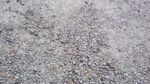 WIN_20210302_10_07_10_Pro.jpg