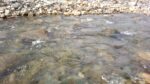 WIN_20210302_10_07_34_Pro.jpg