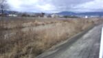 WIN_20210302_10_08_10_Pro.jpg
