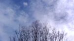 WIN_20210302_10_08_11_Pro.jpg
