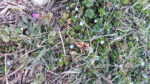 WIN_20210302_10_08_20_Pro.jpg