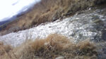 WIN_20210302_10_08_45_Pro.jpg