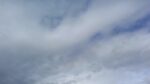 WIN_20210302_10_09_01_Pro.jpg