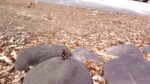 WIN_20210302_10_10_08_Pro.jpg