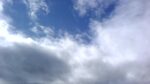 WIN_20210302_10_11_26_Pro.jpg