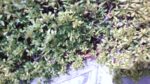 WIN_20210302_10_17_02_Pro.jpg