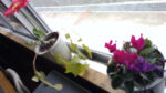 WIN_20210302_10_18_00_Pro.jpg
