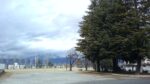 WIN_20210302_10_19_01_Pro.jpg