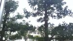 WIN_20210302_10_20_27_Pro.jpg