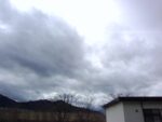 WIN_20210302_10_21_16_Pro.jpg