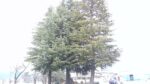WIN_20210302_10_23_03_Pro.jpg
